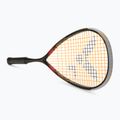 Squash ütő VICTOR IP RK 2