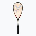 Squash ütő VICTOR IP RK 6