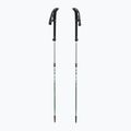 Trekkingbotok LEKI Makalu FX TA silver/greygreen/white