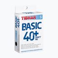 Pingponglabda Tibhar Basic 40+ SYNTT NG 6 db white