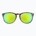Napszemüveg UVEX Lgl 43 havanna black/mirror green 2