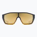 Napszemüveg UVEX Mtn Style CV havanna matt fade/mirror champagne 2