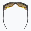 Napszemüveg UVEX Mtn Style CV havanna matt fade/mirror champagne 4