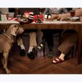 Papucsok BIRKENSTOCK Arizona Birko-Flor gold 6