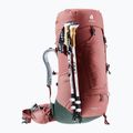 Női trekking hátizsák deuter Aircontact Lite 45 + 10 SL 55 l 334022352150 caspia/ivy 7