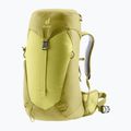 Női túra hátizsák deuter AC Lite 22 l SL sprout/linden