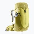 Női túra hátizsák deuter AC Lite 22 l SL sprout/linden 5