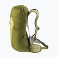 Deuter AC Lite 24 l túrahátizsák linden/kaktusz 5