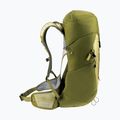 Deuter AC Lite 24 l túrahátizsák linden/kaktusz 6