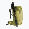 Deuter AC Lite 24 l túrahátizsák linden/kaktusz 9