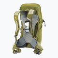 Deuter AC Lite 24 l túrahátizsák linden/kaktusz 13
