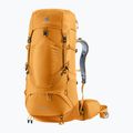 Deuter Aircontact Lite 40 + 10 l borostyán-juhar trekking hátizsák 11