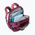 Városi hátizsák deuter Cotogy 28 l cassis/dahlia 11