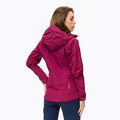 Salewa női esőkabát Sella Responsive gesztenyebarna 00-0000027879 3
