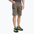 Salewa Lavaredo Hemp férfi túranadrág barna 00-0000028033