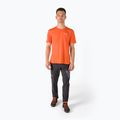Férfi Salewa Alpine Hemp Logo trekking póló narancssárga 00-0000028132 2