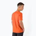 Férfi Salewa Alpine Hemp Logo trekking póló narancssárga 00-0000028132 3