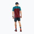 Férfi DYNAFIT Alpine Pro futópóló bordó 08-0000070964 2