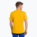 Salewa férfi trekking póló Puez Hybrid 2 Dry sárga 27397 3