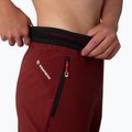 Női trekking nadrág Salewa Pedroc 2 DST 2/1 bordó 00-0000028588 5