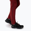 Női trekking nadrág Salewa Pedroc 2 DST 2/1 bordó 00-0000028588 8