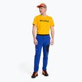 Férfi trekking nadrág Salewa Pedroc 2 DST Világoskék 00-0000028597 2