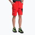 Férfi Salewa Pedroc 3 DST Cargo trekking nadrág piros 00-0000028601