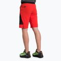 Férfi Salewa Pedroc 3 DST Cargo trekking nadrág piros 00-0000028601 3