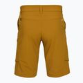 Férfi trekking nadrág Salewa Puez DST Cargo golden brown 2
