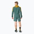 Férfi DYNAFIT Alpine Wind dohány futódzseki 4