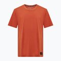 Férfi Salewa Eagle Logo Patch póló 7240 bombay barna