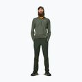 Férfi hosszú ujjú póló Salewa Pedroc Dry Wind Half Zip Tee faded green 2