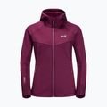 Jack Wolfskin női Hydro Grid Fleece pulóver rózsaszín 1709911 7