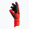 Reusch Attrakt Freegel Silver Finger Support kapus kesztyű 5370230-3333 6