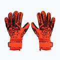 Reusch Attrakt Freegel Silver Finger Support kapus kesztyű 5370230-3333