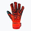 Reusch Attrakt Freegel Gold Evolution Cut kapuskesztyű piros 5370135-3333 4