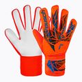 Kapuskesztyű Reusch Attrakt Starter Solid bright red/future blue