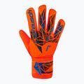Kapuskesztyű Reusch Attrakt Starter Solid bright red/future blue 2
