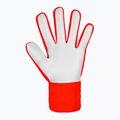 Kapuskesztyű Reusch Attrakt Starter Solid bright red/future blue 3