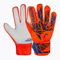 Reusch Attrakt Starter Grip hyper orng/elec blue kapuskesztyű