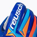Kapus kesztyűk Reusch Attrakt Solid sharp blue/white/shocking orange 6