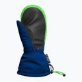 Gyerek síkesztyűk Reusch Maxi R-Tex XT Mitten surf the web/green gecko 3
