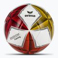 ERIMA Senzor Star Training különböző méretű 5 foci