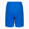 PUMA Teamliga gyermek focinadrág sötétkék 70493102 2