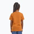 Jack Wolfskin gyerek póló Graphic Cotton T print soft amber 6