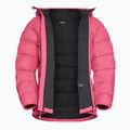 Női pehelykabát Jack Wolfskin Ather Down Hoody bubblegum 9