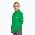 Gyermek polár pulóver Jack Wolfskin Taunus mystic green 10