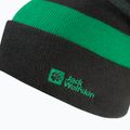 Gyerek téli sapka Jack Wolfskin Stripy Knit pala zöld/misztikus 3