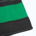 Gyerek téli sapka Jack Wolfskin Stripy Knit pala zöld/misztikus 6