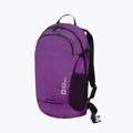 Hátizsák Jack Wolfskin Velocity 20 l freesia 4